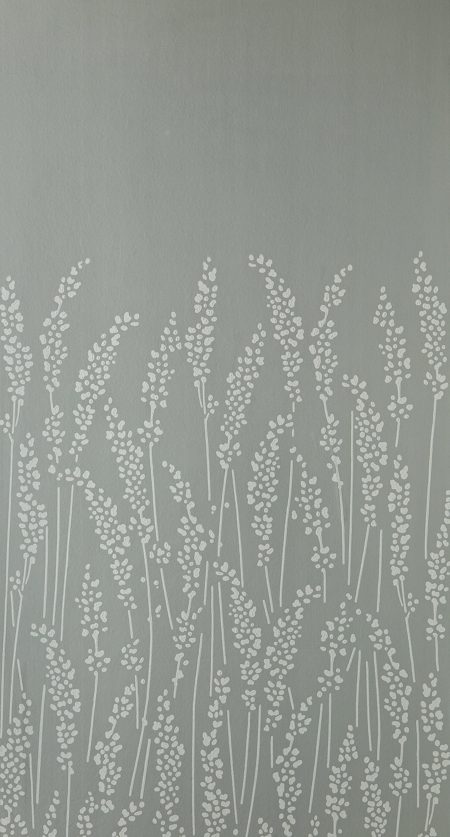 Feathergrass BP 5102
