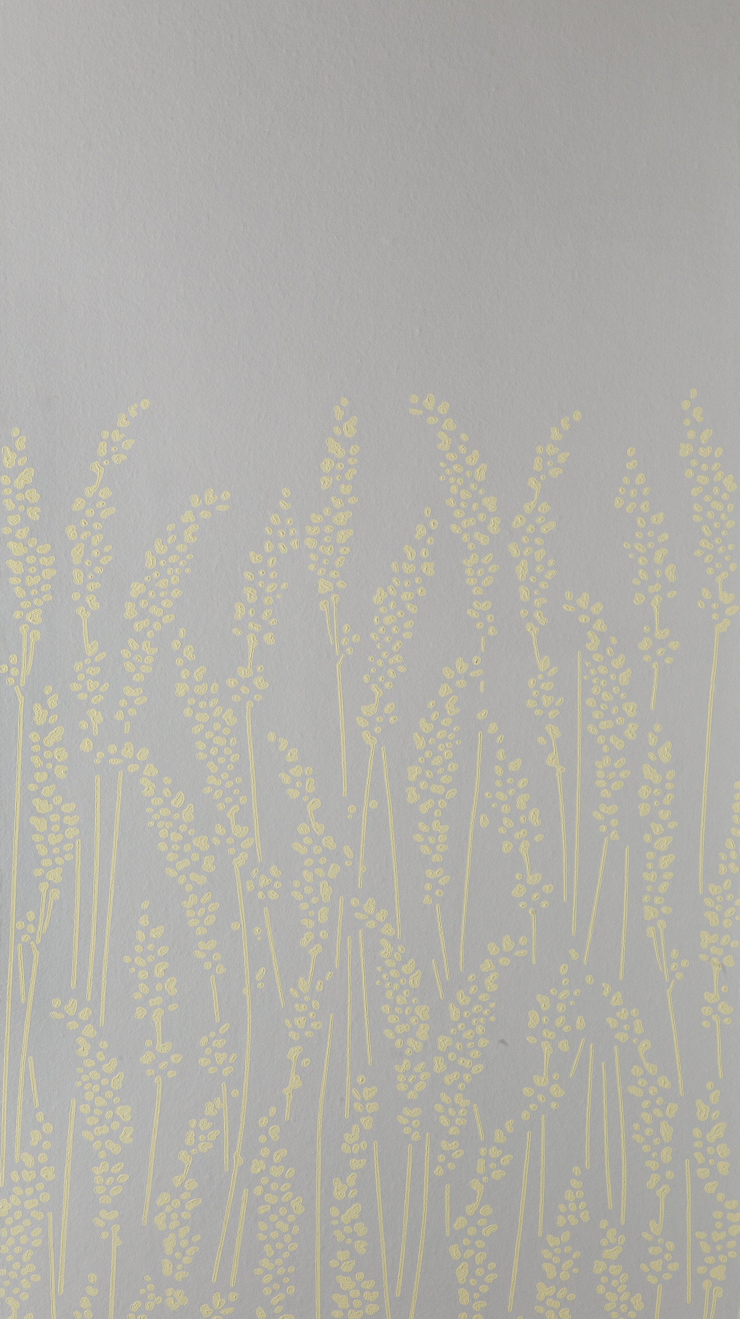 Feathergrass BP 5104