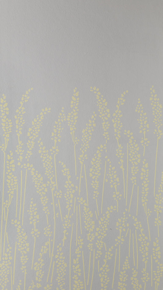 Feathergrass BP 5104