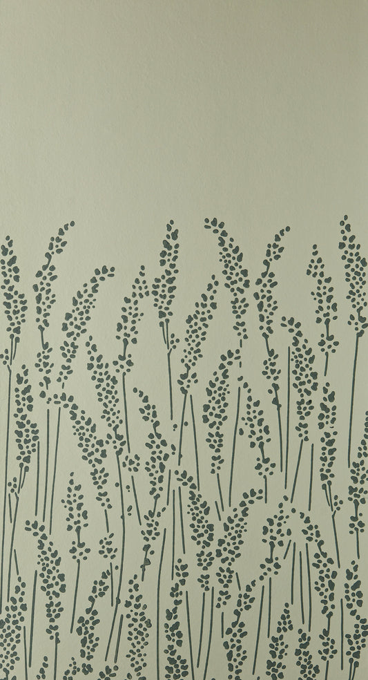 Feathergrass BP 5105