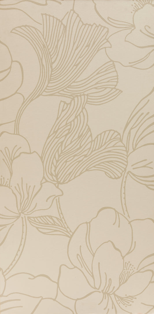 Helleborus BP 5601