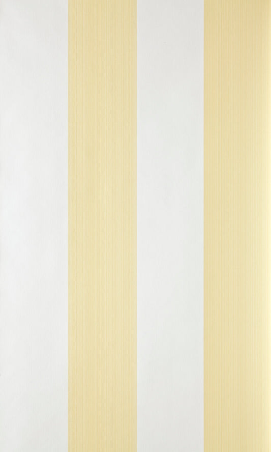 Broad Stripe ST 1319