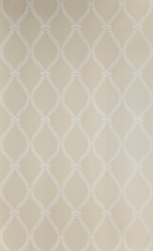 Crivelli Trellis BP 3104